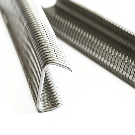 15GA 515DSS50 Stainless Steel D Rings