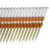 21 Degree 3-1/4 In. X 0.131 Galvanized Collated Framing Nails