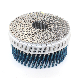 15 Degree Stainless Steel Trox Head Plastic Sheet Coil Nail Screw