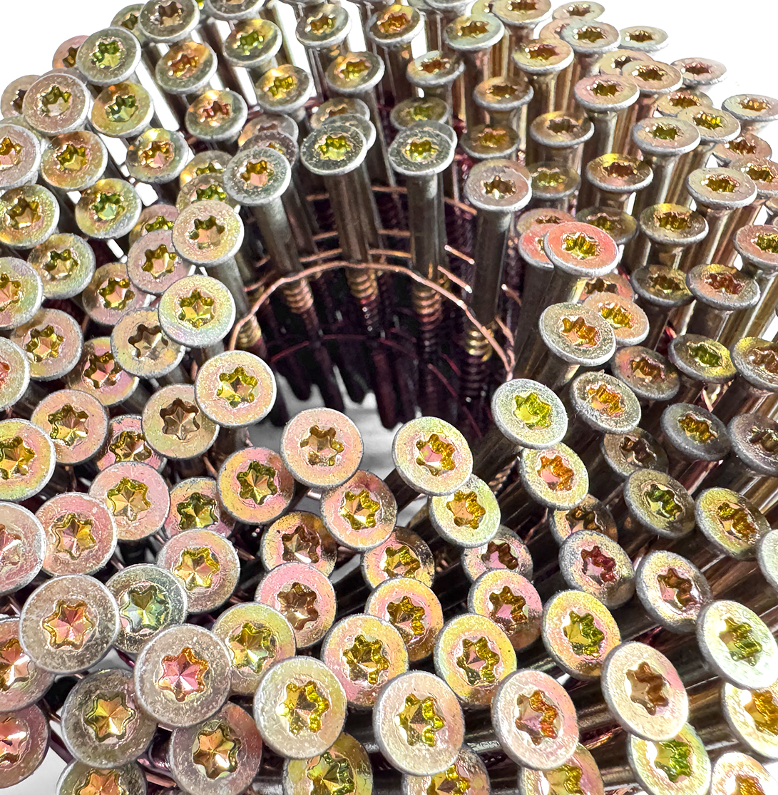 Torx Head Nail Screws Close-Up