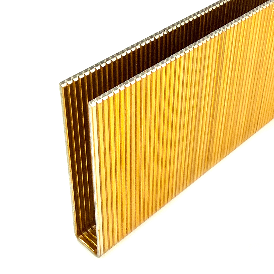 N50 Staples Close Up